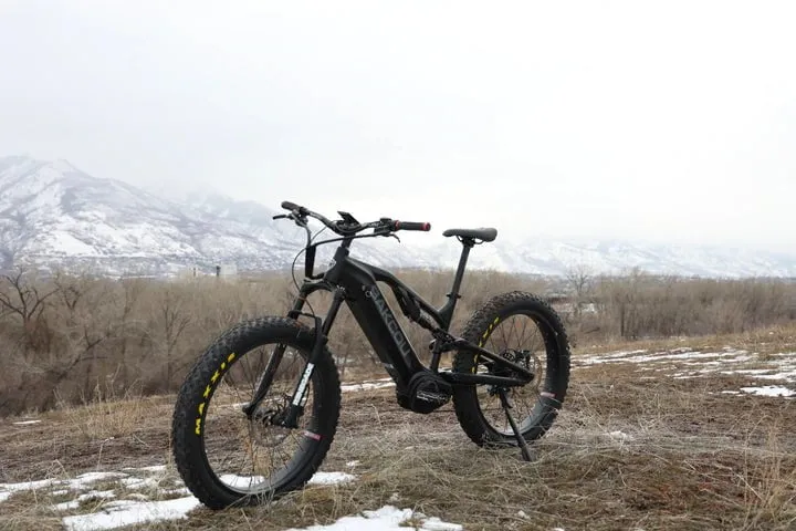 Bakcou SCOUT Torque Sensing Smart 750-1500W Mid-Drive Motor Full Suspension Electric Bike