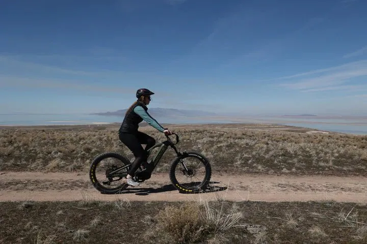 Bakcou SCOUT Torque Sensing Smart 750-1500W Mid-Drive Motor Full Suspension Electric Bike