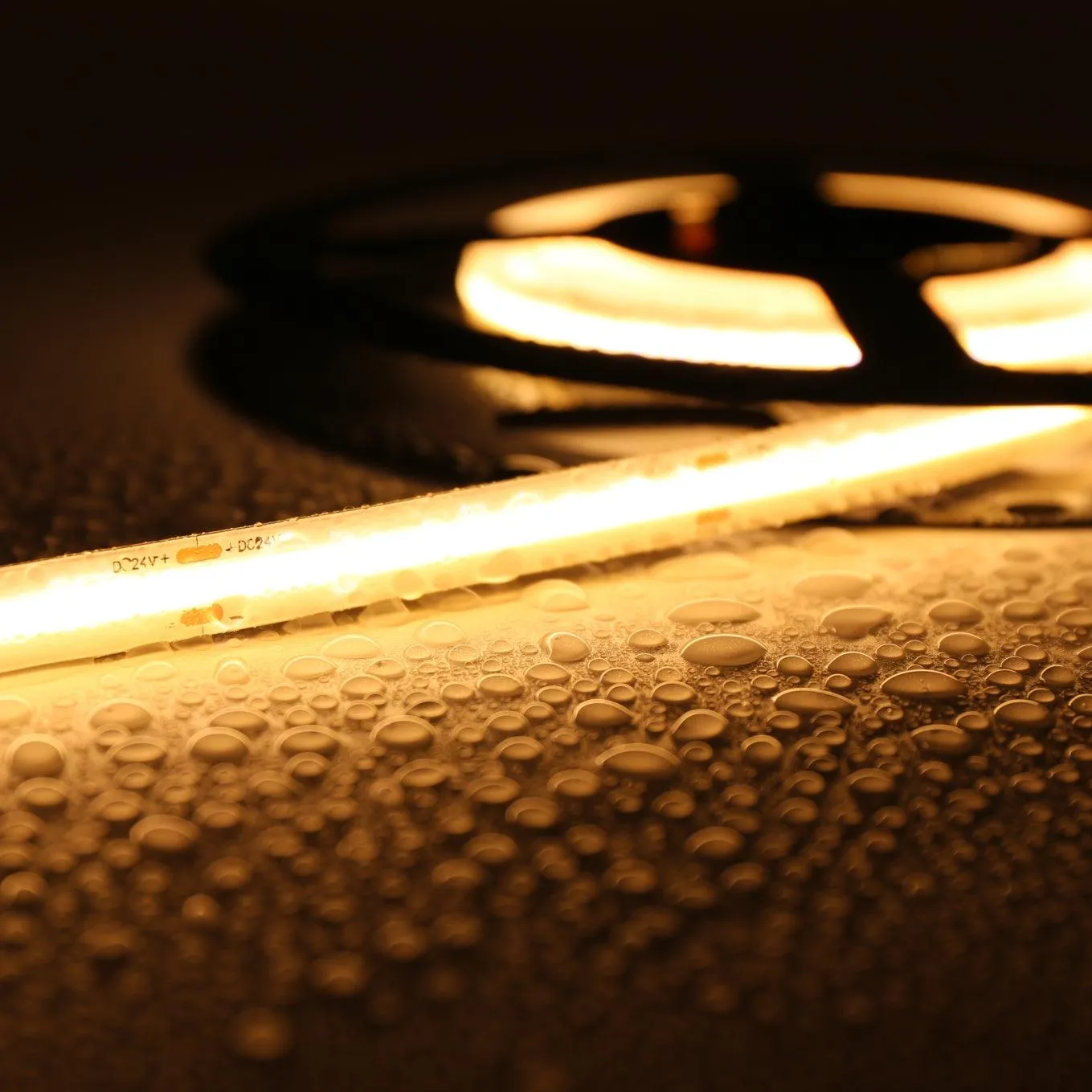 COB LED Strip Light Warm White 3000K 24V 352 LEDs/m IP20 Waterproof