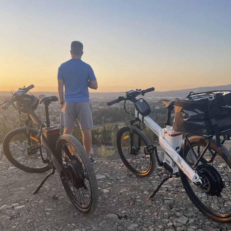 Ecotric Seagull Electric Mountain Bike, 48V/12.5Ah, 1000W