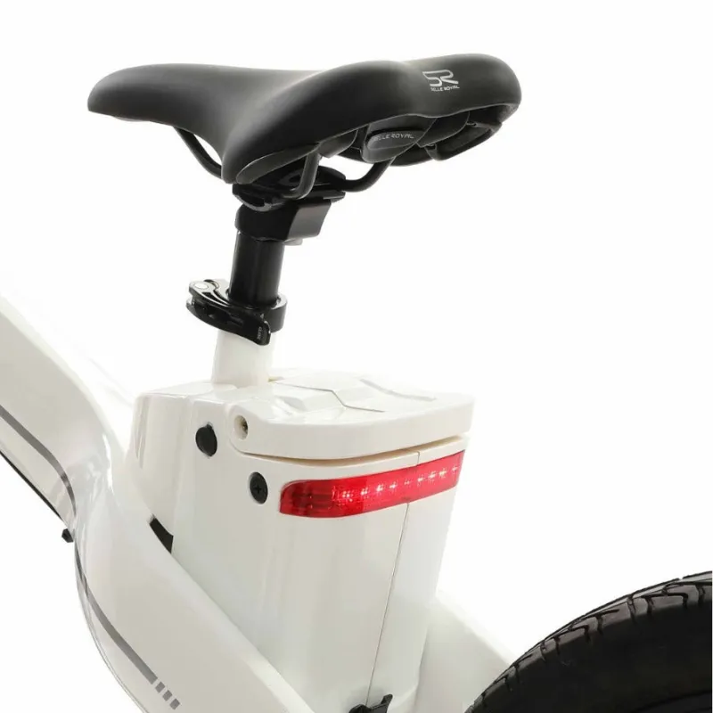 Ecotric Seagull Electric Mountain Bike, 48V/12.5Ah, 1000W