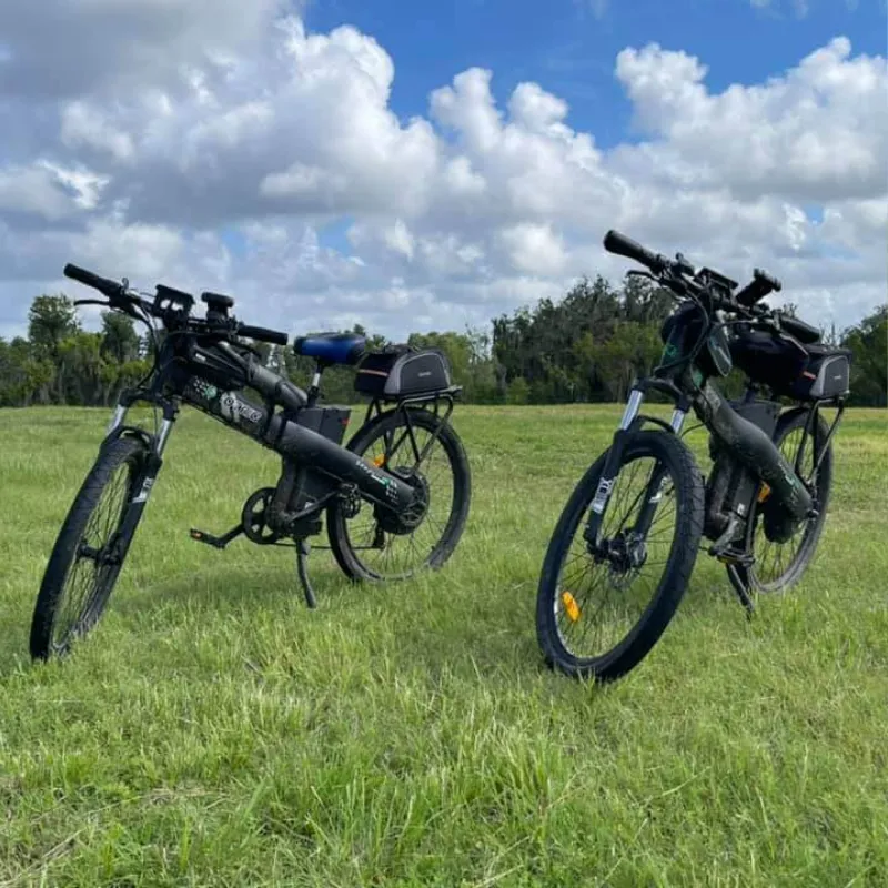 Ecotric Seagull Electric Mountain Bike, 48V/12.5Ah, 1000W