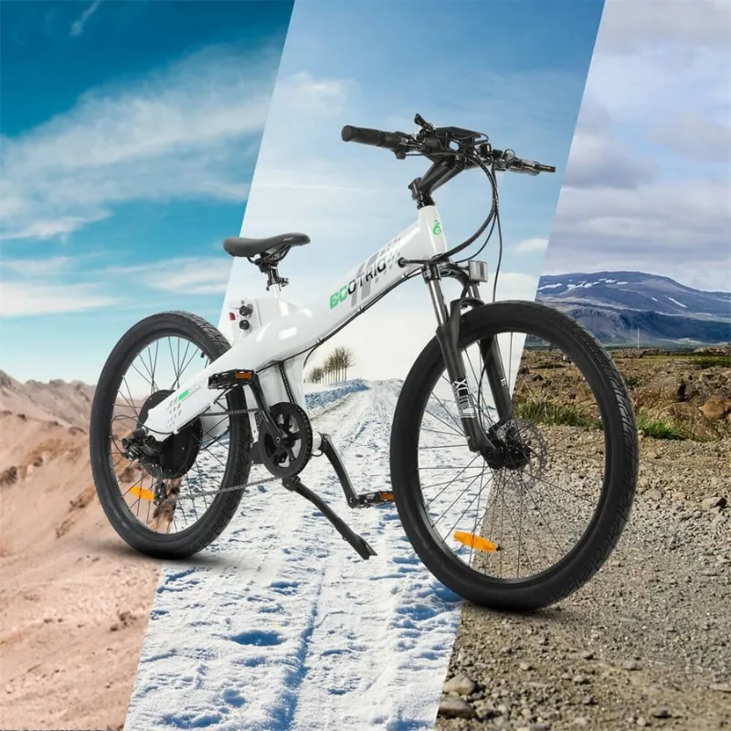 Ecotric Seagull Electric Mountain Bike, 48V/12.5Ah, 1000W
