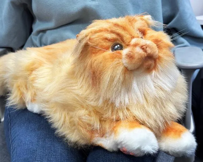 Marmalade the cat robotic companion pet - VAT Free