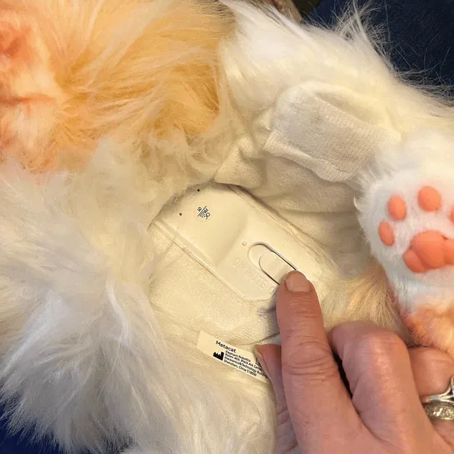 Marmalade the cat robotic companion pet - VAT Free