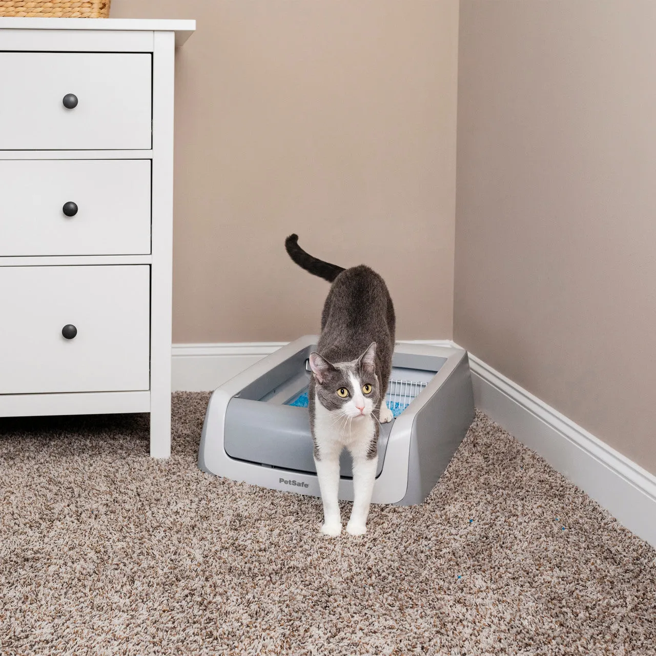 Petsafe Scoopfree 2nd Generation Self Cleaning Litter Box
