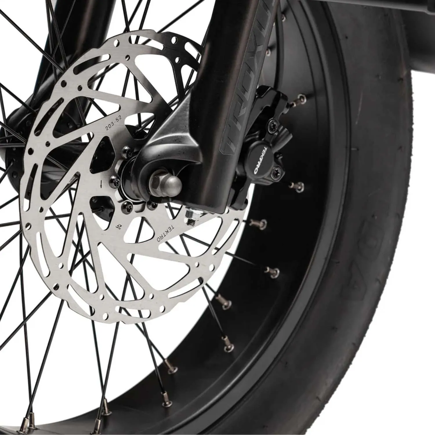 Troxus Lynx Cargo 20" Fat Tire EBIKE, 750 Watt, Charcoal, One Size
