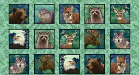Woodland Wonders - Animal Blocks - Studio e
